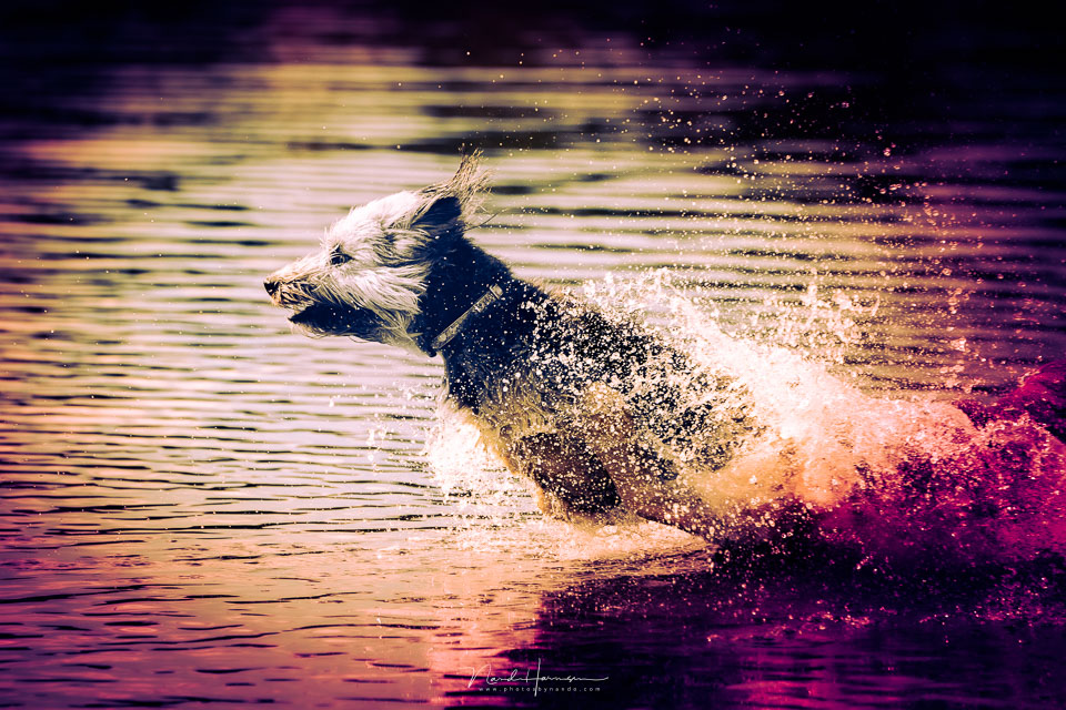 Nando extreme editing