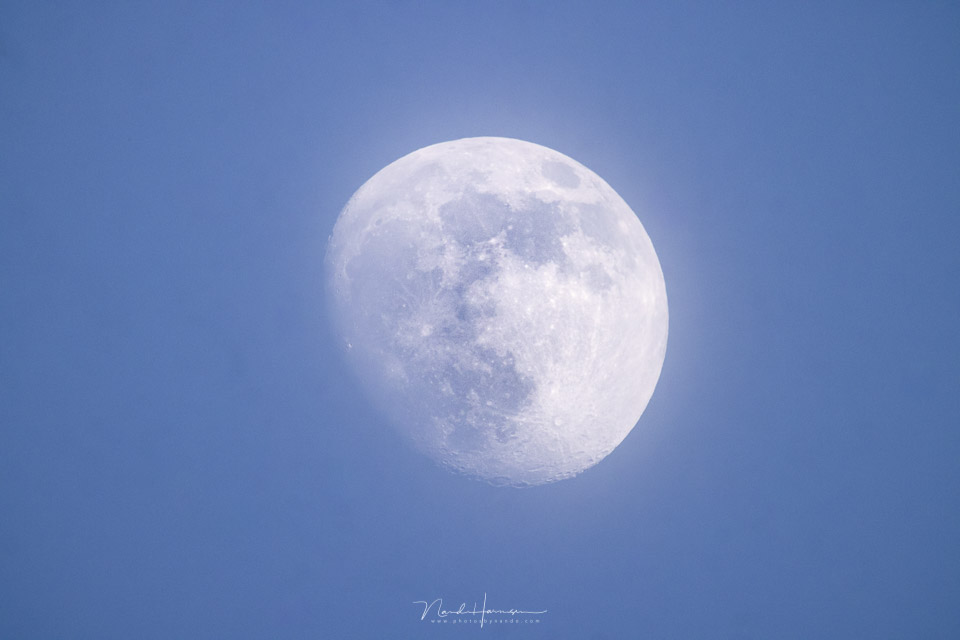 Nando FR800 TC moon Nando FR800 TC moon