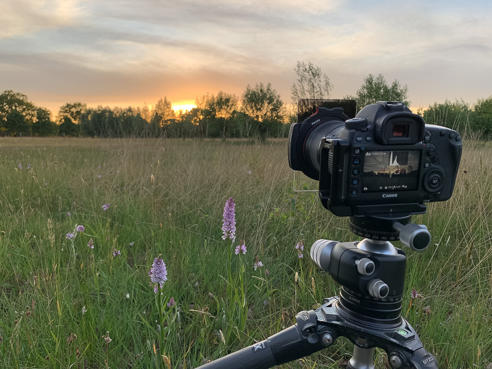 Nando Haida graduated filter Nando Haida graduated filter