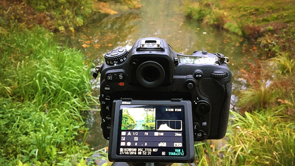Nando histogram live view