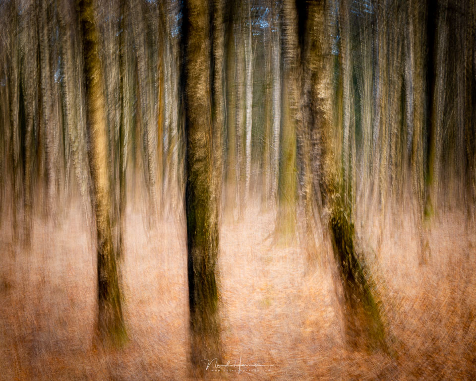 Nando ICM simple movement