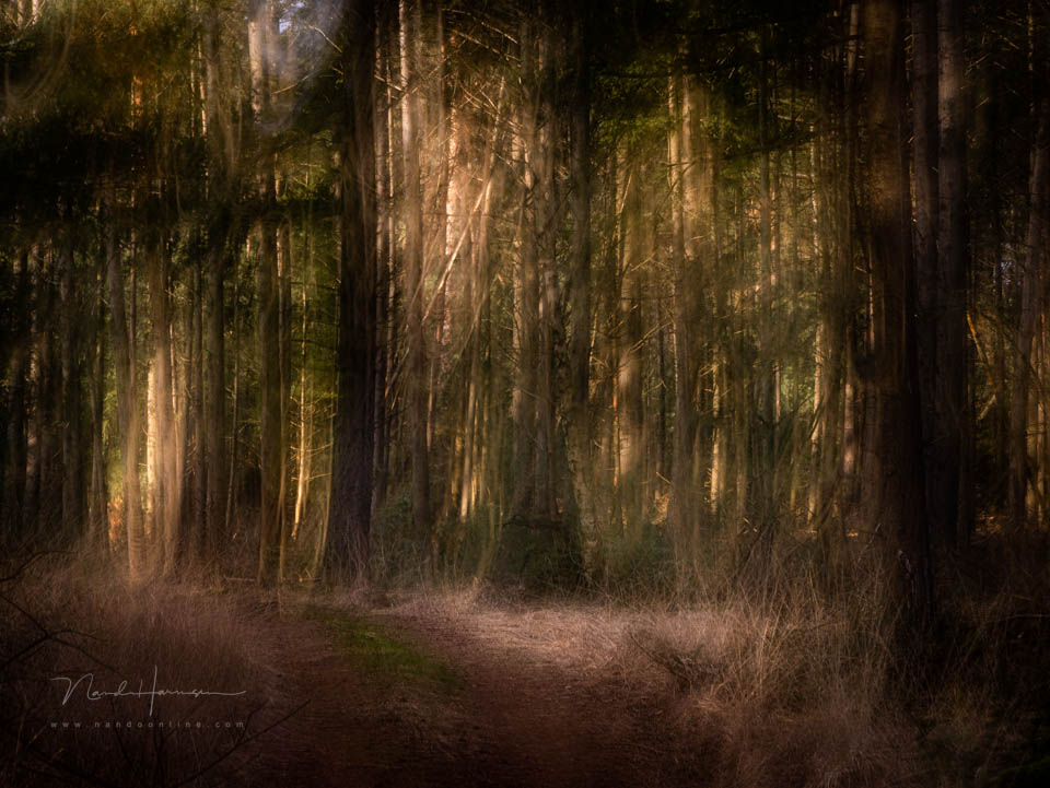 Nando ICM first attempt Nando ICM first attempt