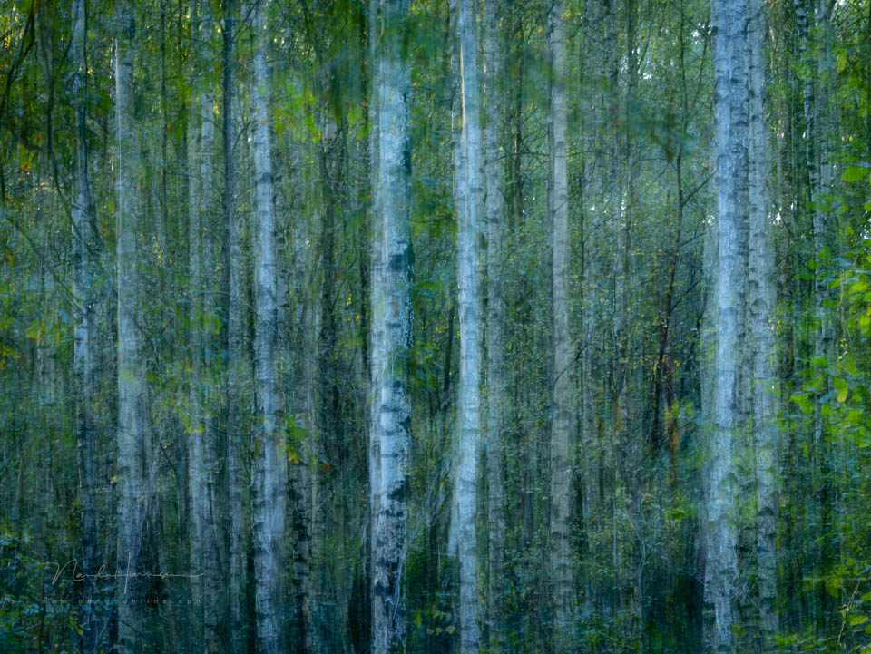 Nando ICM new attempt Nando ICM new attempt