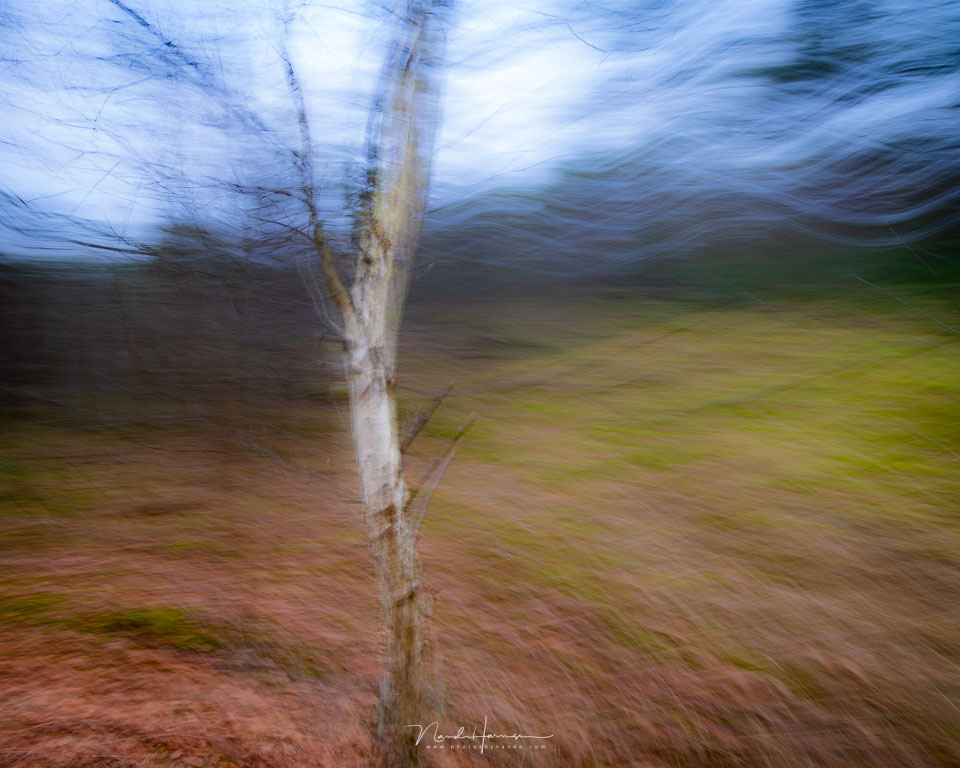 Nando ICM technique 2