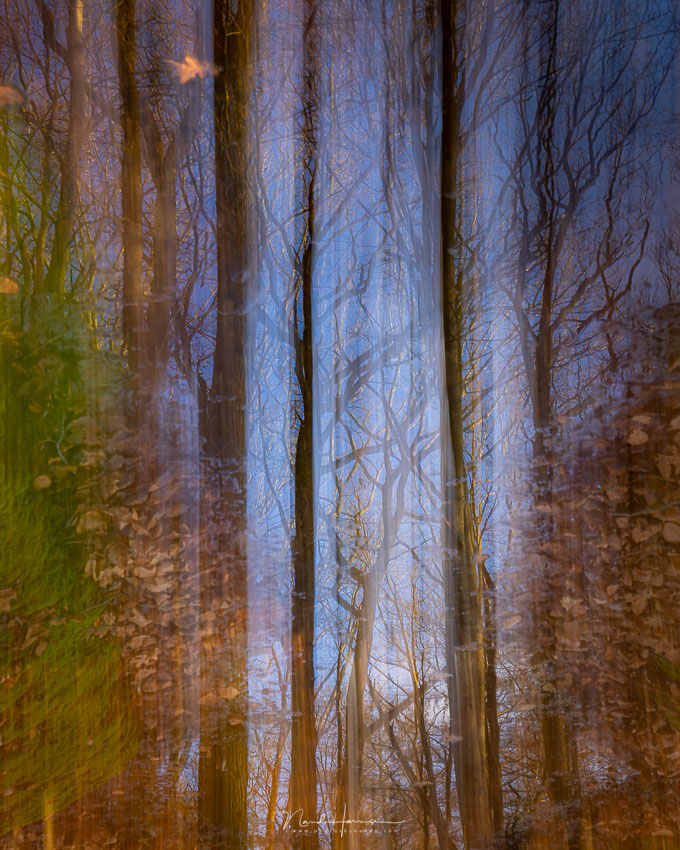 Nando ICM technique