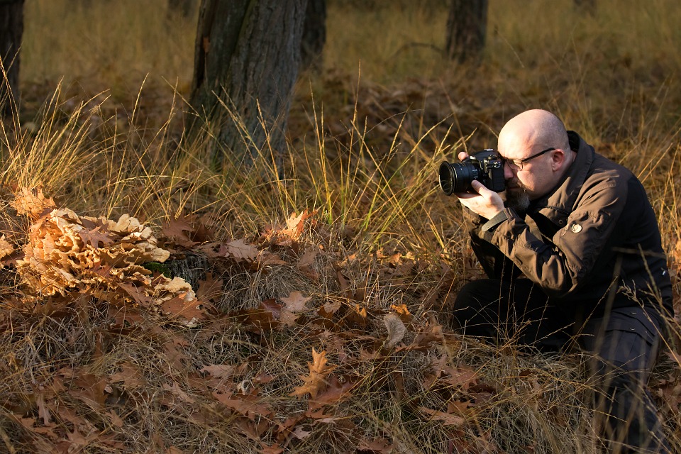 Nando image stabilisation overrated 03 Nando image stabilisation overrated 03