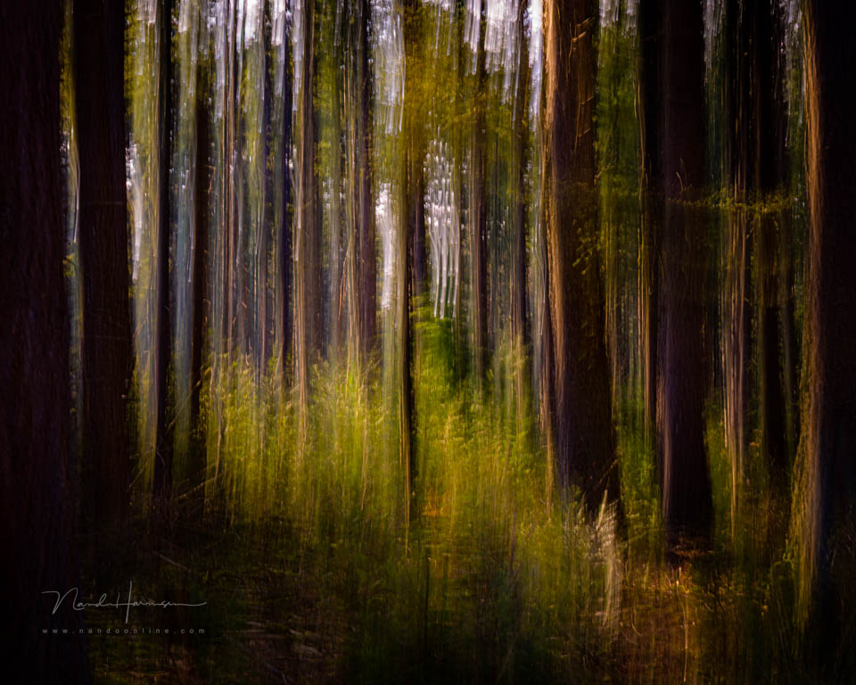 Nando creative photography inspiration 2 Nando creative photography inspiration 2