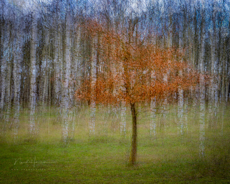 Nando creative photography inspiration 3 Nando creative photography inspiration 3