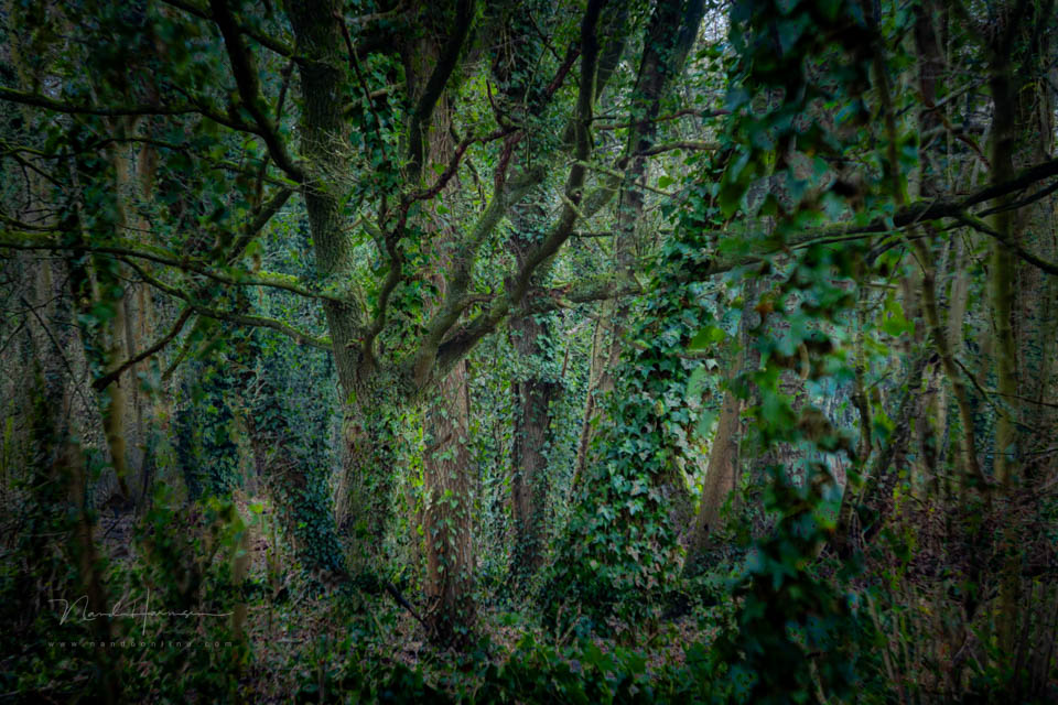 Nando creative photography inspiration 5 Nando creative photography inspiration 5