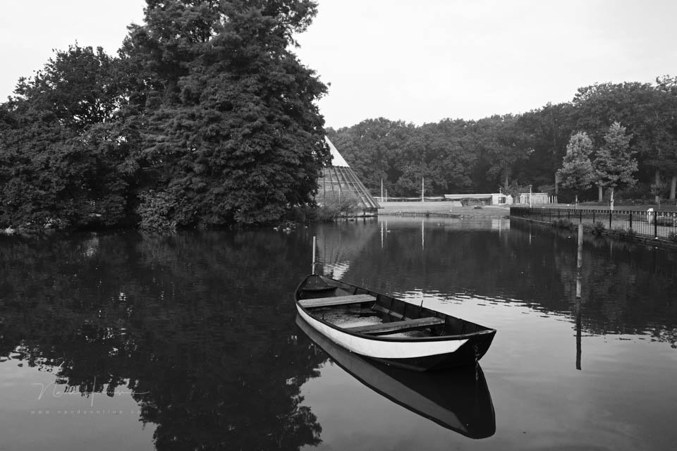 Nando daily photography inspiration 5 Nando daily photography inspiration 5