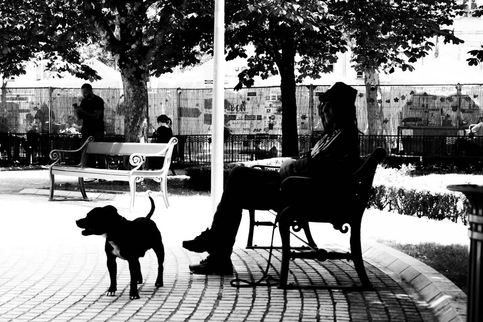 Nando photography break inspiration Nando photography break inspiration