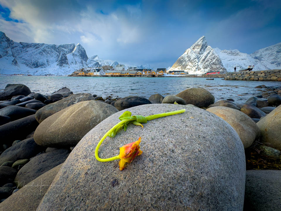Nando kabelvag lofoten sakrisoy olstinden