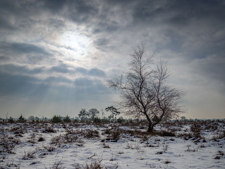 Nando landscape choosing a low viewpoint 2 Nando landscape choosing a low viewpoint 2