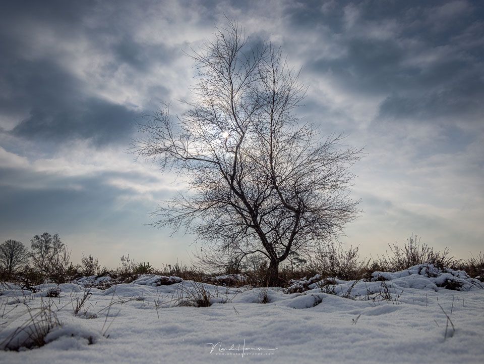 Nando landscape choosing a low viewpoint 3 Nando landscape choosing a low viewpoint 3