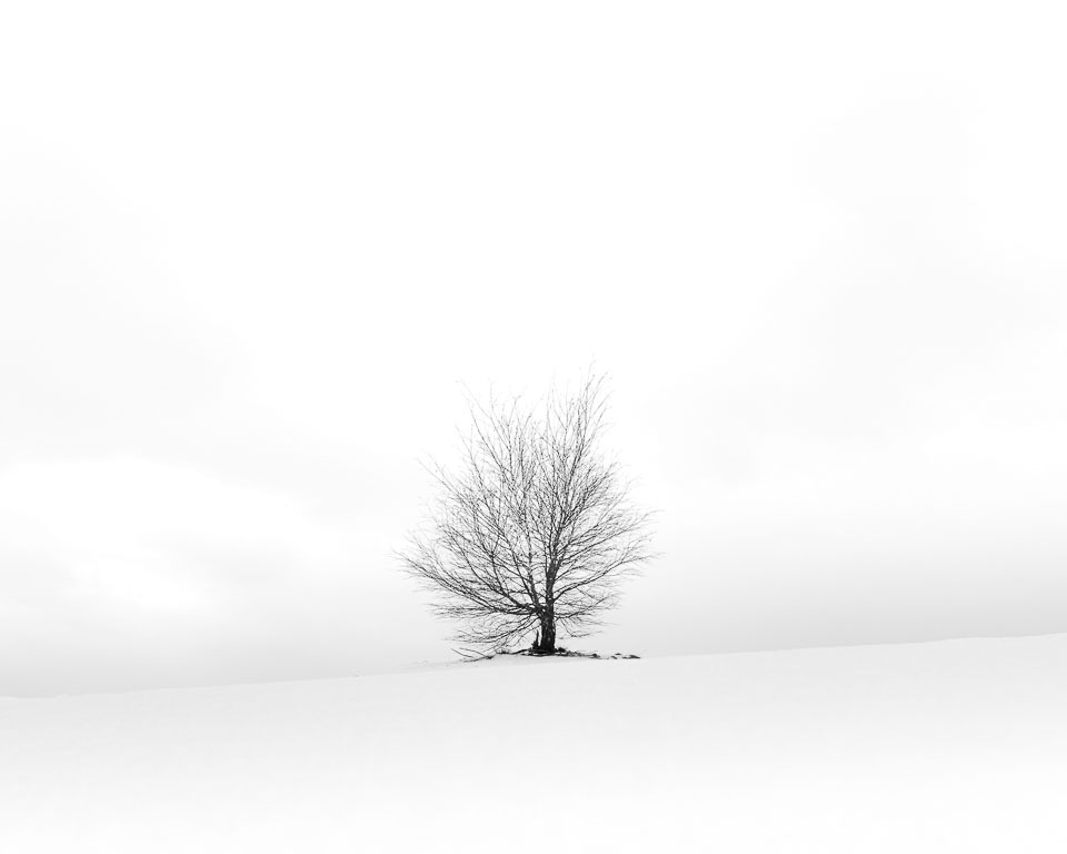 Nando landscape choosing a low viewpoint Nando landscape choosing a low viewpoint