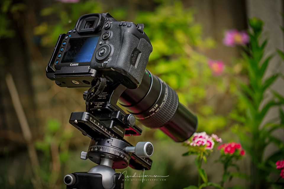 Nando live view mirrorless