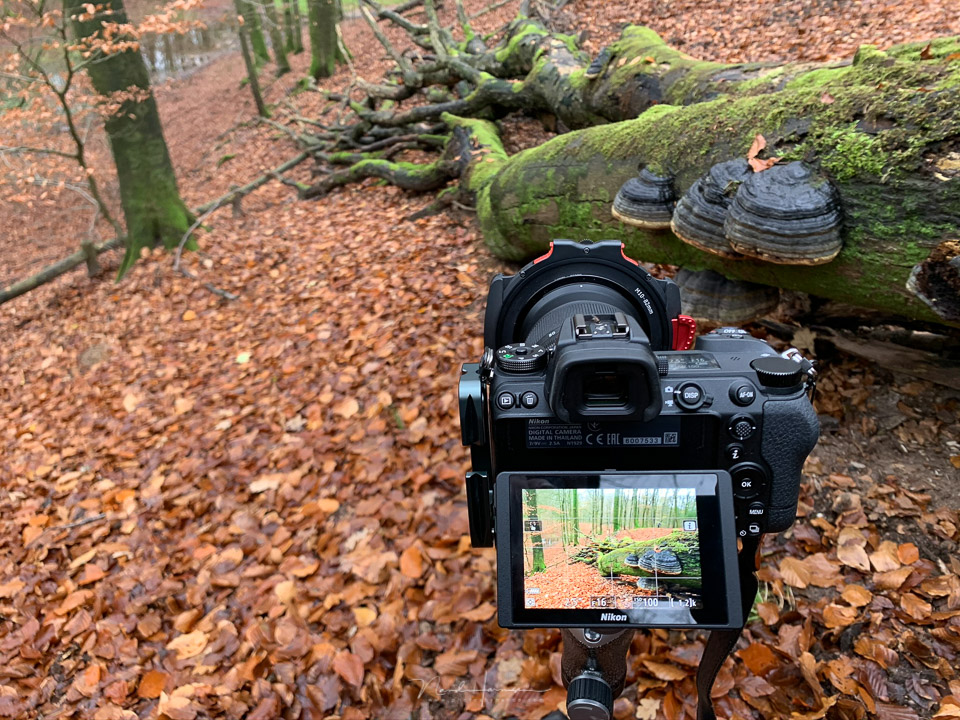 Nando live view Nikon Z6 II Nando live view Nikon Z6 II