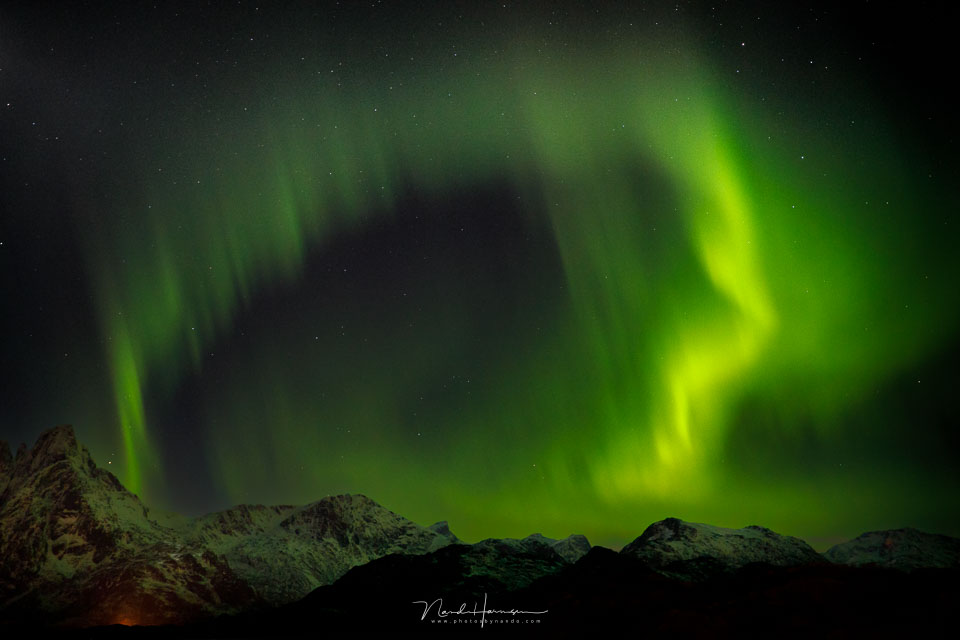 Nando Lofoten aurora(1)