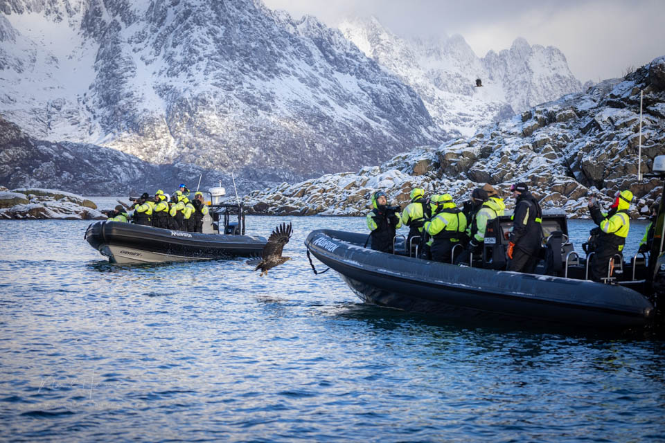 Nando Lofoten RIB