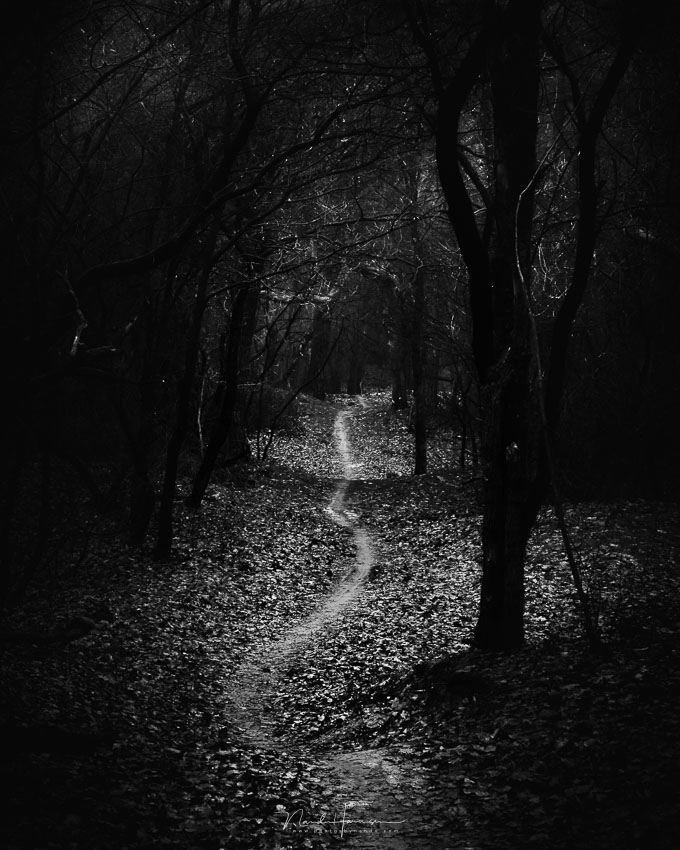 Nando low-key landscape Nando low-key landscape