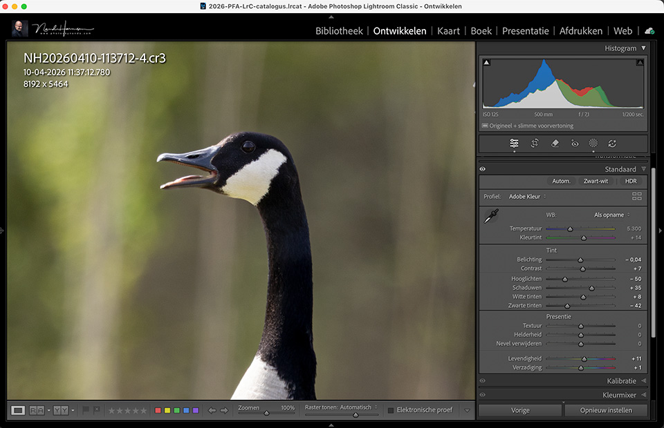 Nando Lightroom Classic Develop