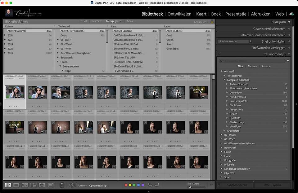 Nando Lightroom Classic search