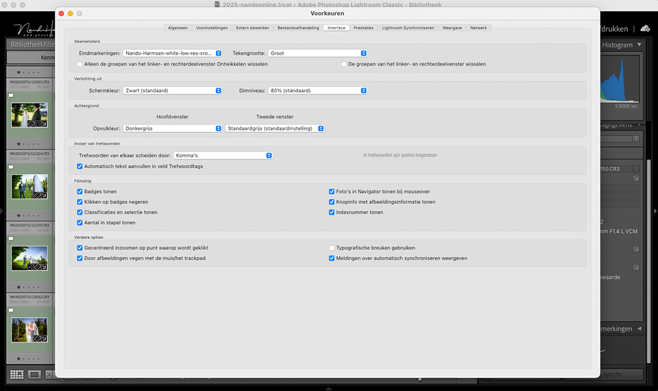 Nando lrc interface preferences