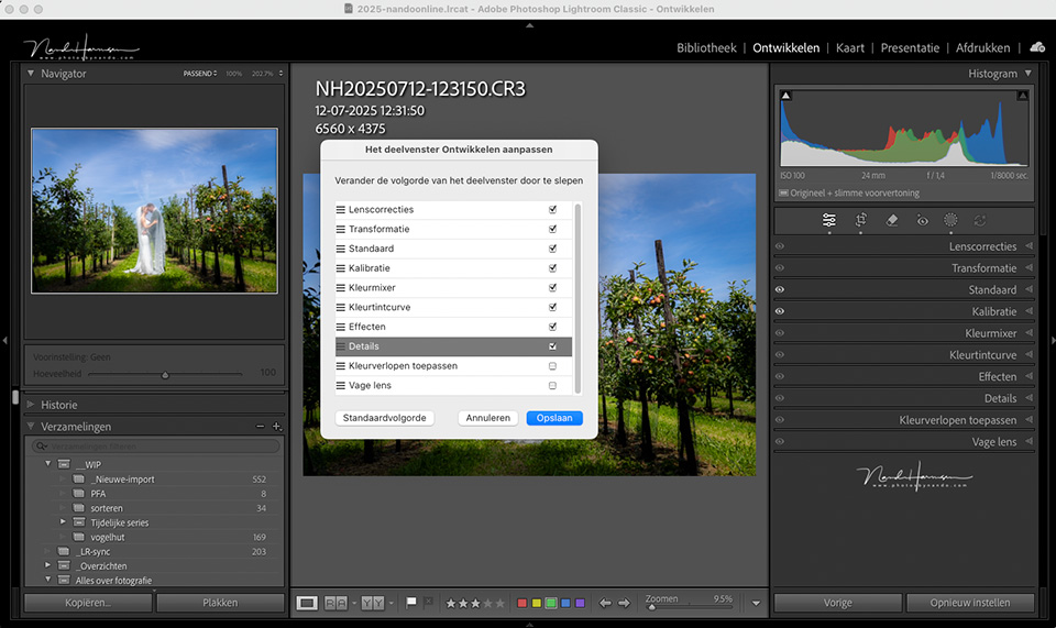 Nando lrc Develop panel order
