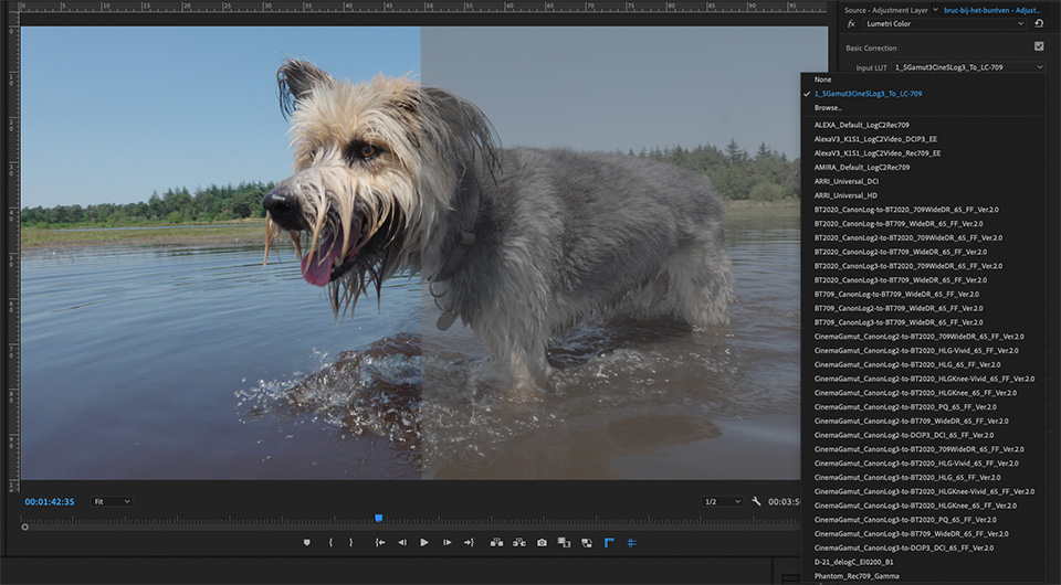 Nando LUT PremierePro