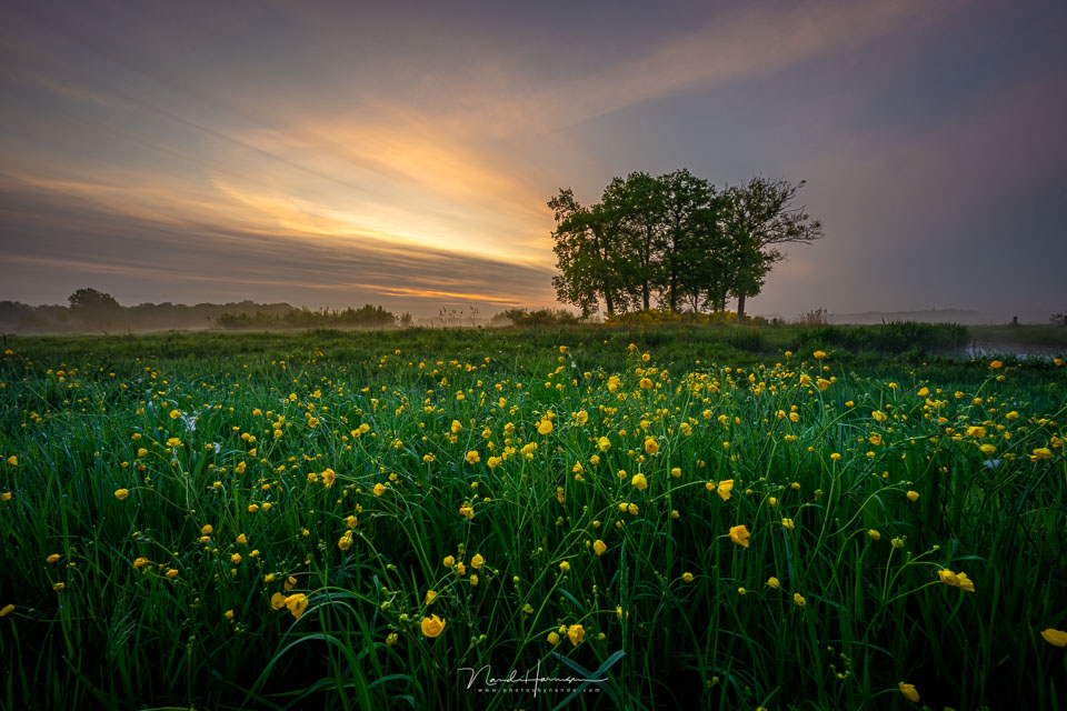 Nando with 12mm