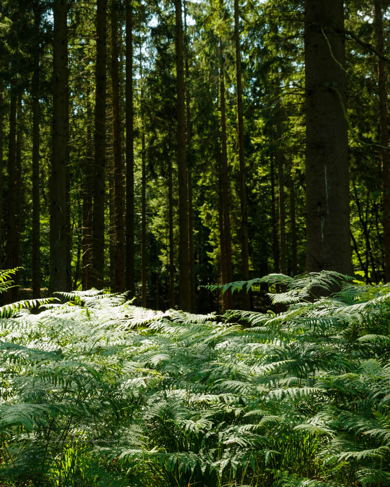 Nando with and without polarising filter 10 Nando with and without polarising filter 10