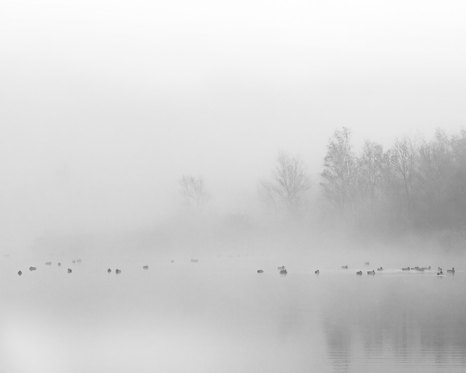 Nando mist photo Nando mist photo