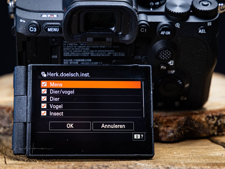 Nando subject recognition Sony A7R V Nando subject recognition Sony A7R V