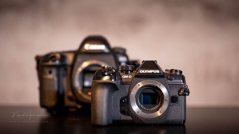 Nando Olympus and Canon Nando Olympus and Canon