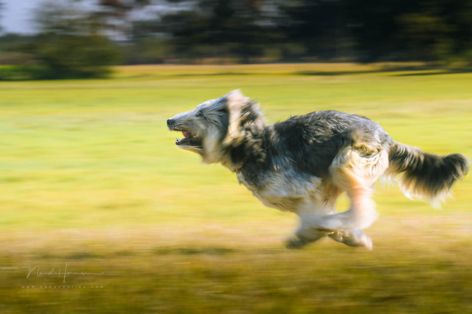 Nando panning example 1 Nando panning example 1