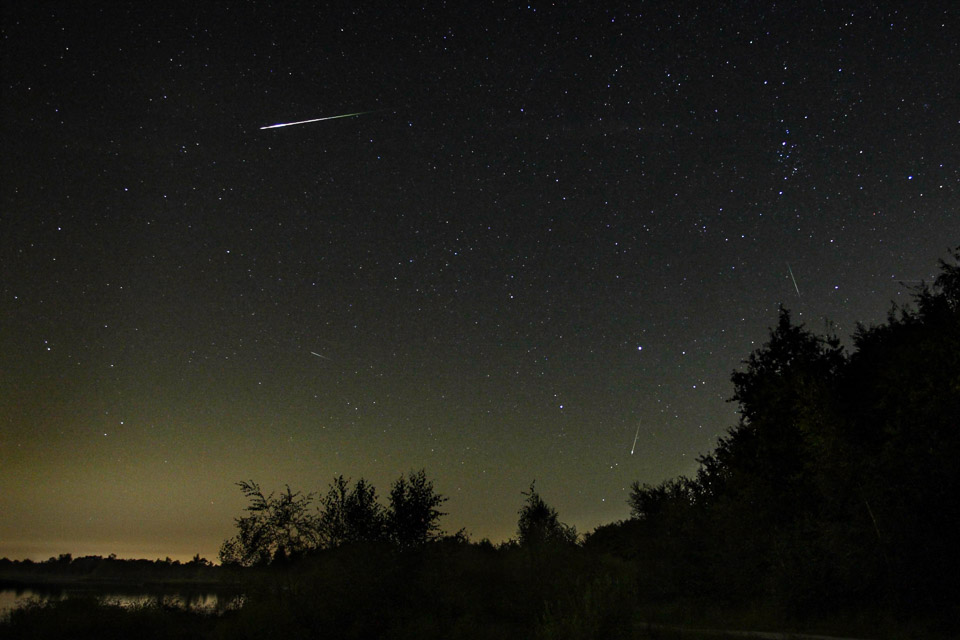Nando Perseid Groote Peel Nando Perseid Groote Peel