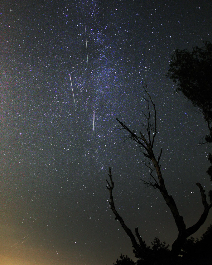 Nando Perseid Strabrecht Nando Perseid Strabrecht