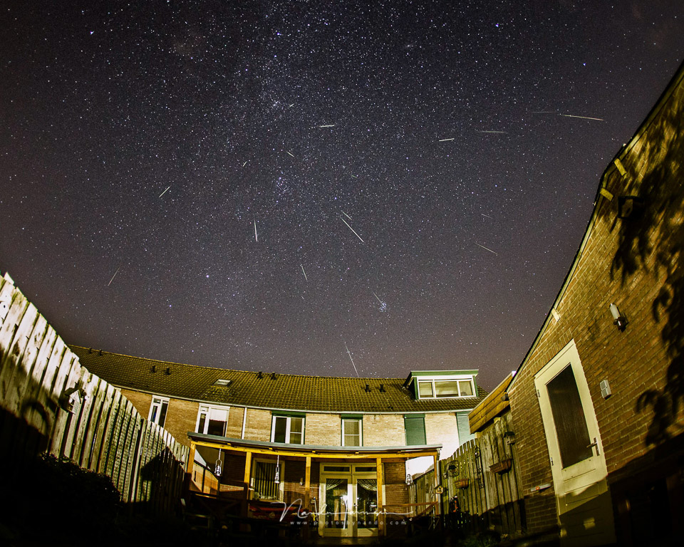 Nando Perseids garden Nando Perseids garden