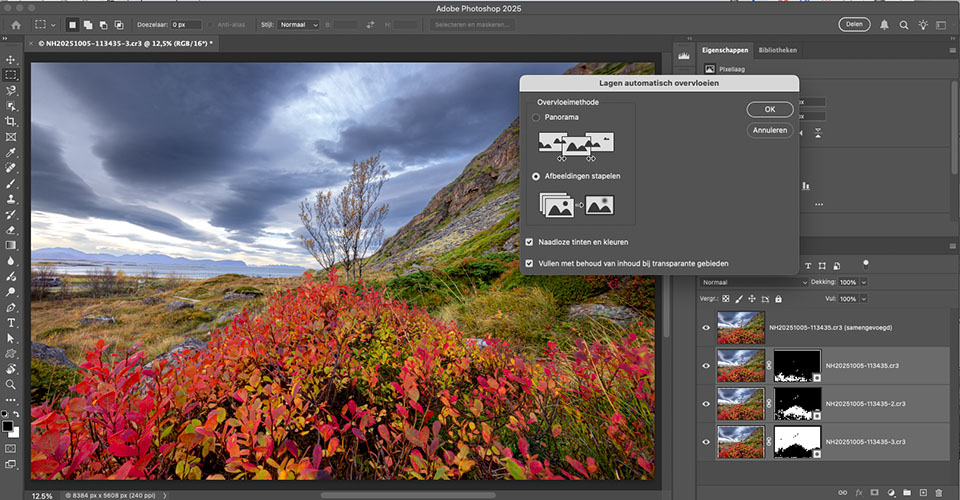 Nando Photoshop focus stacking Nando Photoshop focus stacking