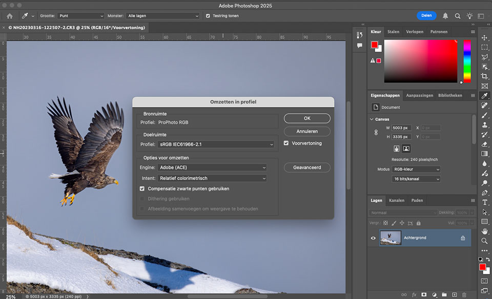Nando Photoshop assign colour profile Nando Photoshop assign colour profile