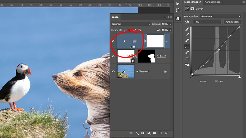 Nando ps mask clipping mask Nando ps mask clipping mask