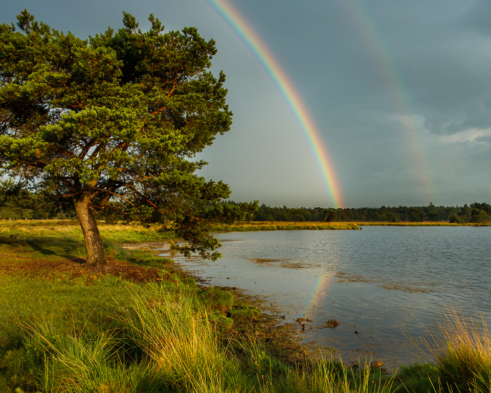 Nando rainbow reflection