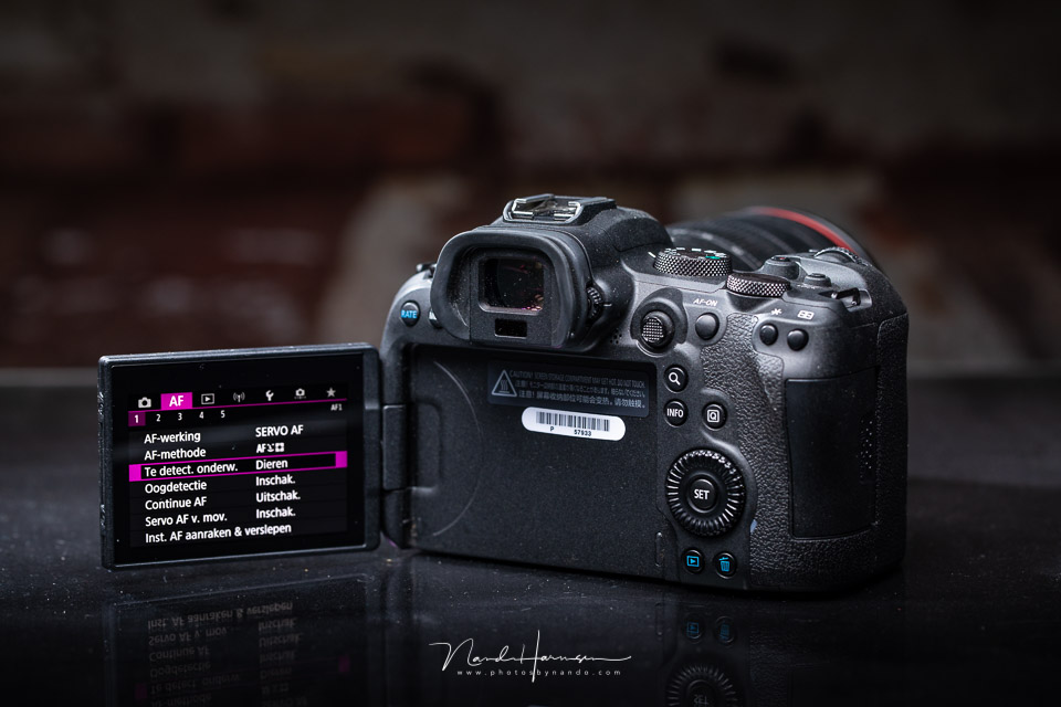 Nando review Canon EOS R6 camera 05 Nando review Canon EOS R6 camera 05
