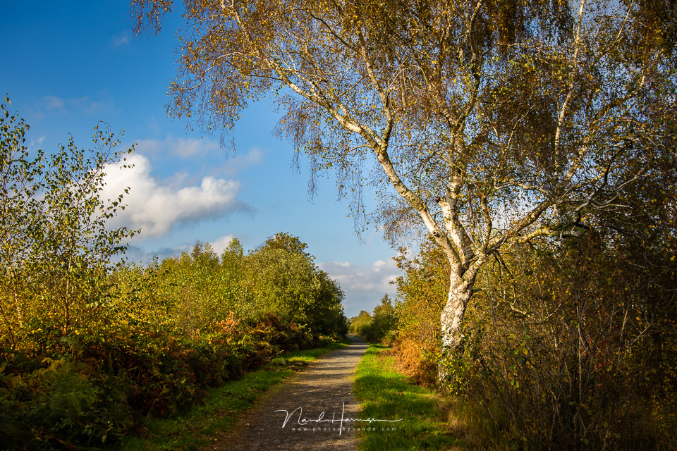 Nando review Canon EOS R6 landscape 03 Nando review Canon EOS R6 landscape 03