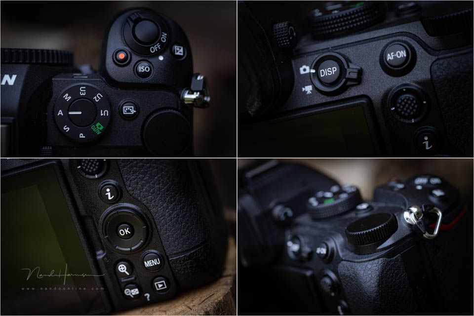Nando review Z5II appearance 3