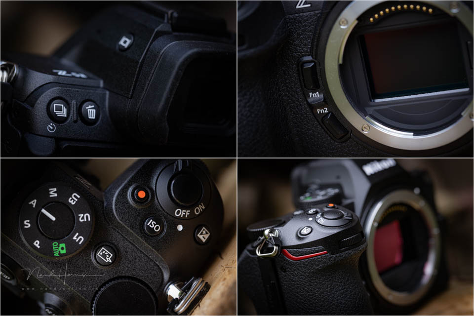 Nando review Z5II appearance 4