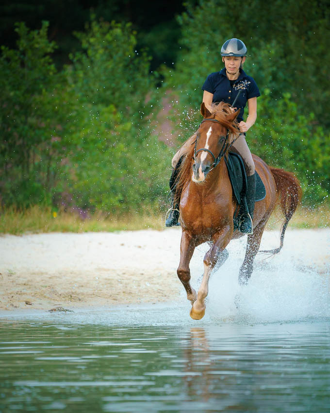 Nando rider