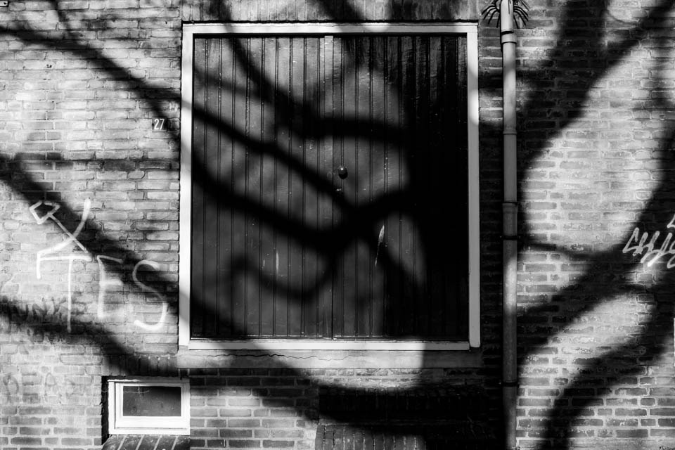 Nando shadows hard light