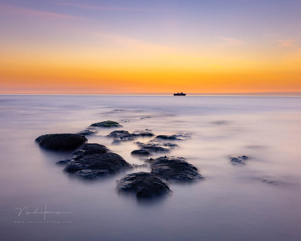 Nando twilight light