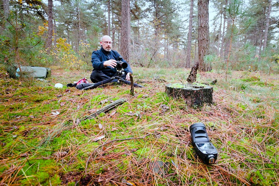 Nando screencapture photographing mushroom 1 Nando screencapture photographing mushroom 1